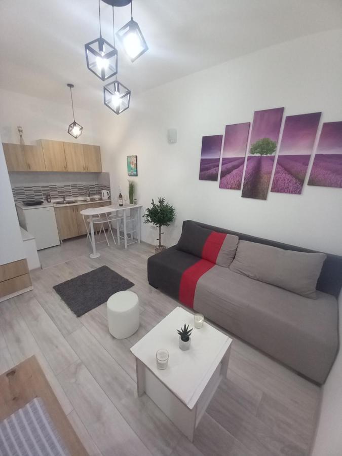 Apartment Capital Town نوفي ساد المظهر الخارجي الصورة